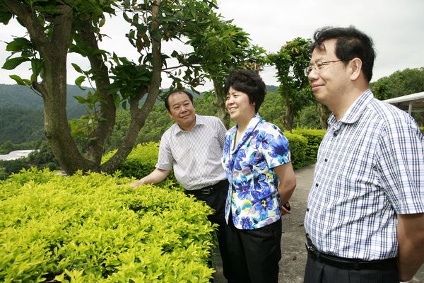 国产精品自产拍在线观看免费