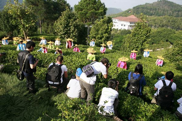 国产精品自产拍在线观看免费