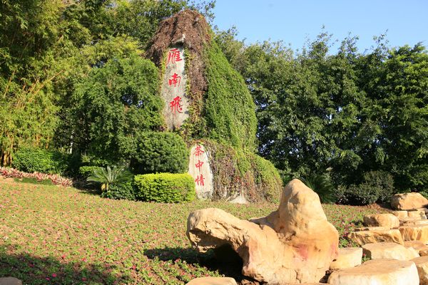 国产精品自产拍在线观看免费