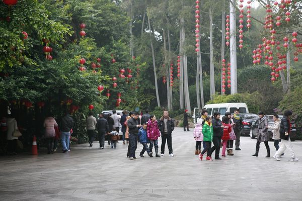 国产精品自产拍在线观看免费