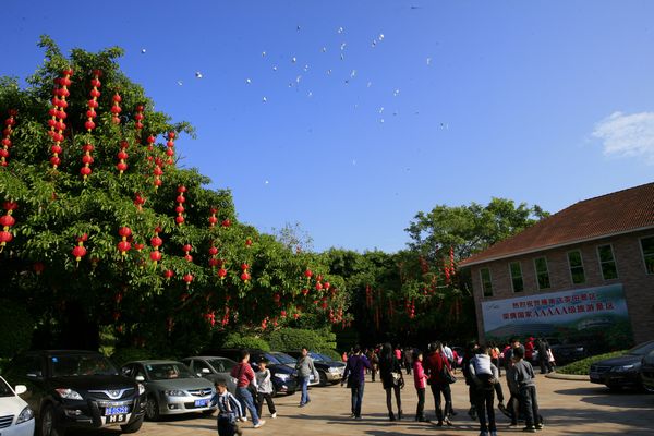 国产精品自产拍在线观看免费