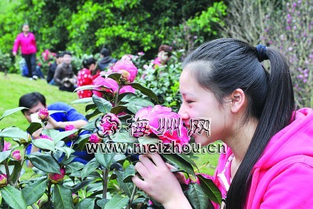 国产精品自产拍在线观看免费