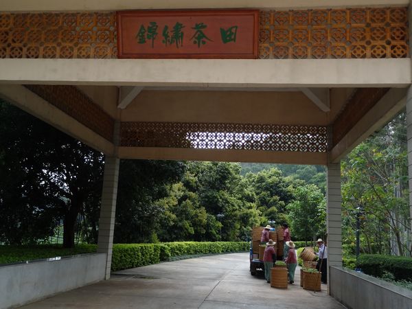 国产精品自产拍在线观看免费
