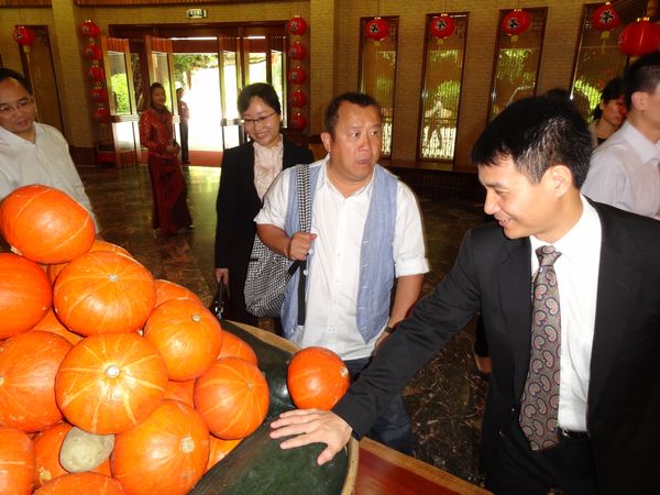国产精品自产拍在线观看免费