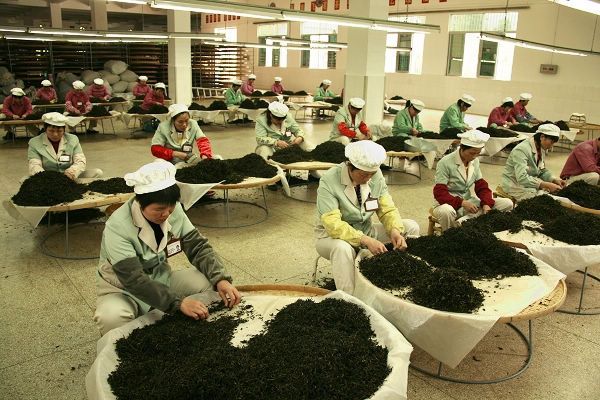 国产精品自产拍在线观看免费