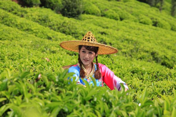 国产精品自产拍在线观看免费
