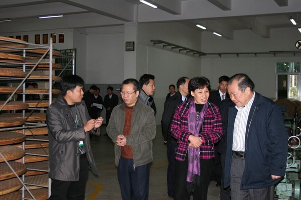 国产精品自产拍在线观看免费