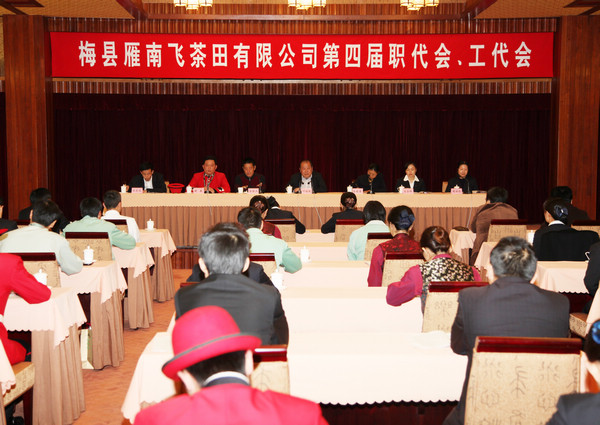国产精品自产拍在线观看免费