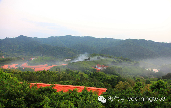 国产精品自产拍在线观看免费