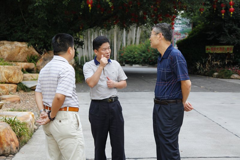 国产精品自产拍在线观看免费