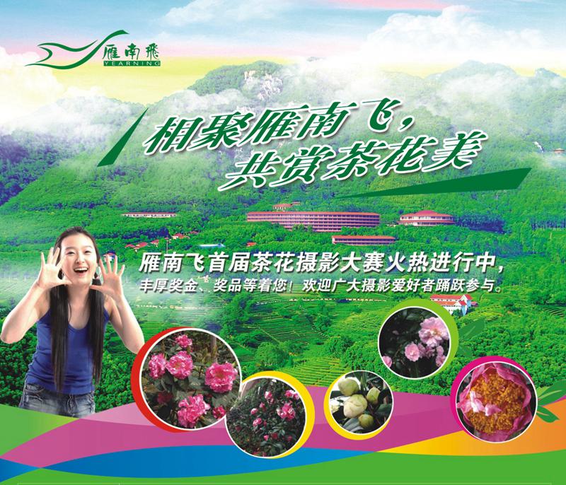 国产精品自产拍在线观看免费