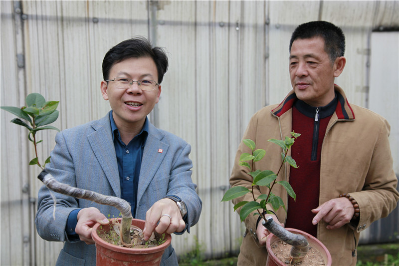 国产精品自产拍在线观看免费