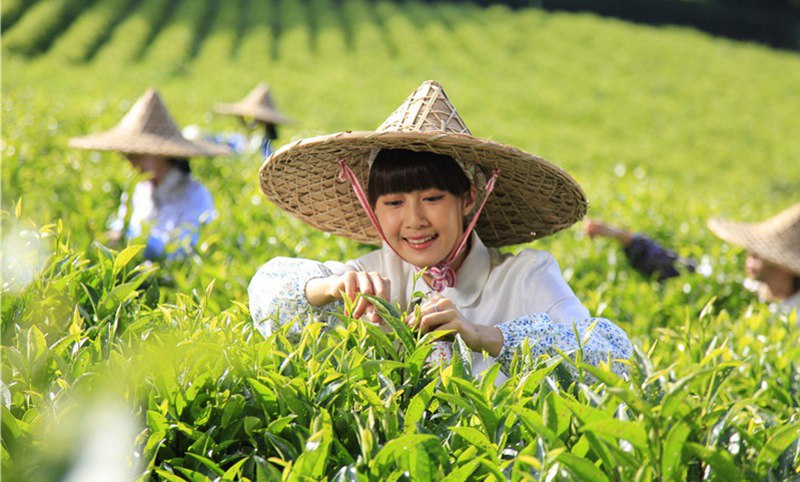 国产精品自产拍在线观看免费