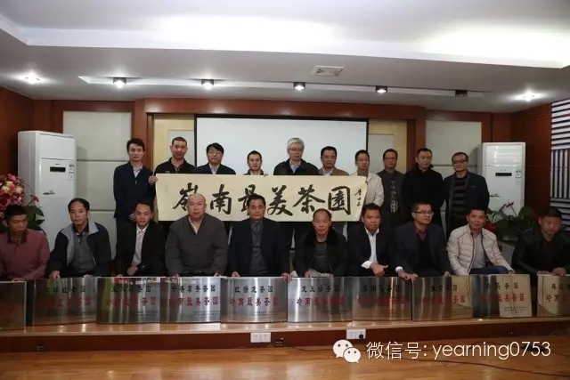 国产精品自产拍在线观看免费