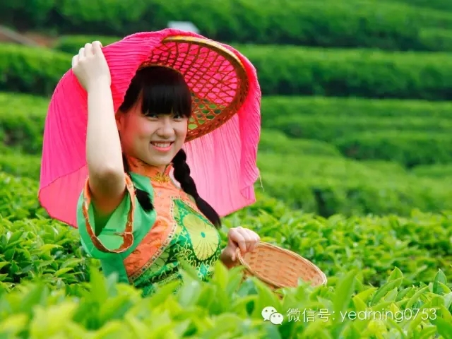 国产精品自产拍在线观看免费