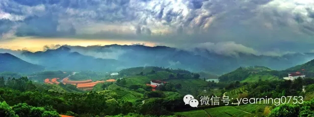 国产精品自产拍在线观看免费