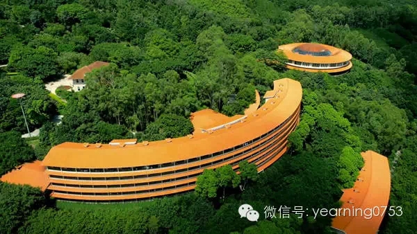 国产精品自产拍在线观看免费