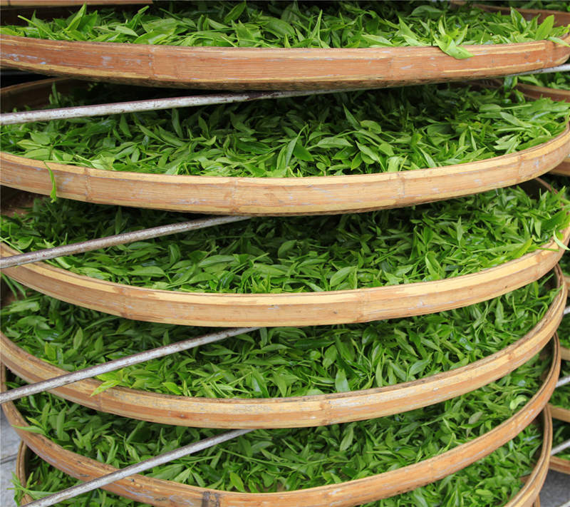 国产精品自产拍在线观看免费