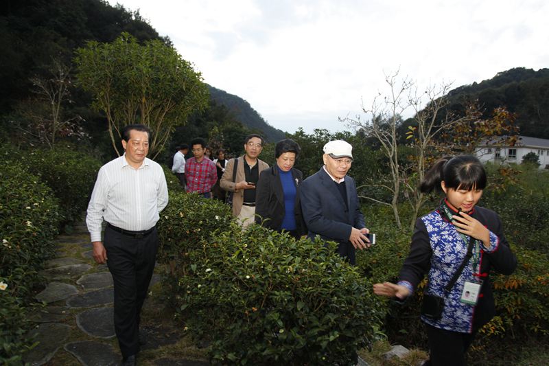 国产精品自产拍在线观看免费