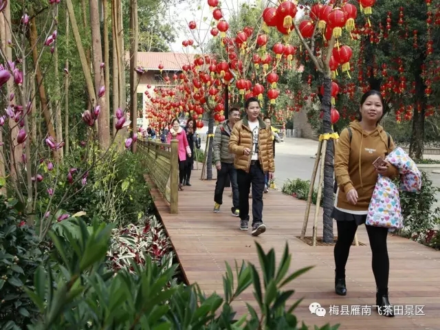 国产精品自产拍在线观看免费