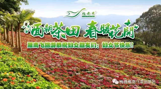 国产精品自产拍在线观看免费