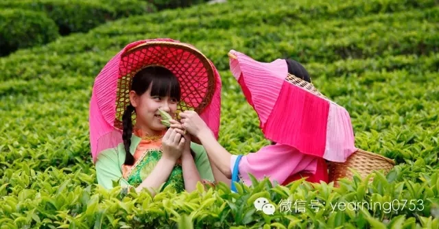 国产精品自产拍在线观看免费
