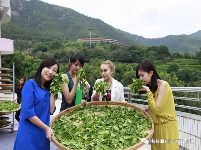 国产精品自产拍在线观看免费