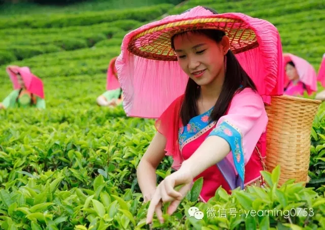 国产精品自产拍在线观看免费