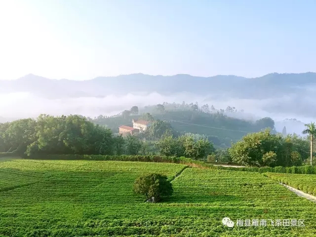 国产精品自产拍在线观看免费