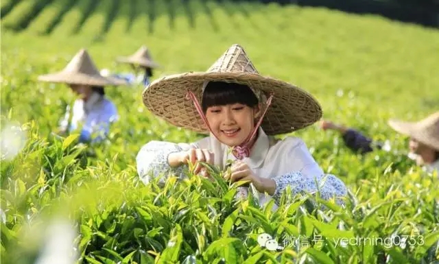 国产精品自产拍在线观看免费