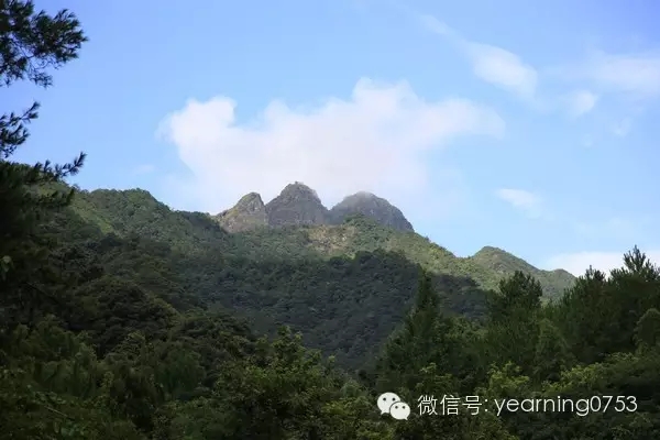 国产精品自产拍在线观看免费
