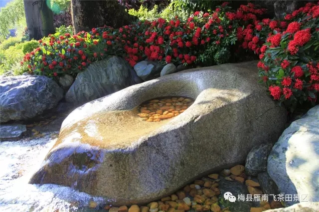 国产精品自产拍在线观看免费
