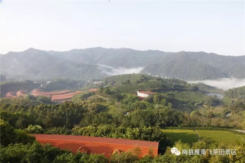 国产精品自产拍在线观看免费