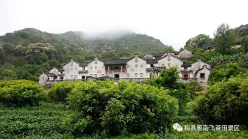国产精品自产拍在线观看免费