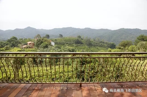 国产精品自产拍在线观看免费