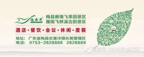 国产精品自产拍在线观看免费
