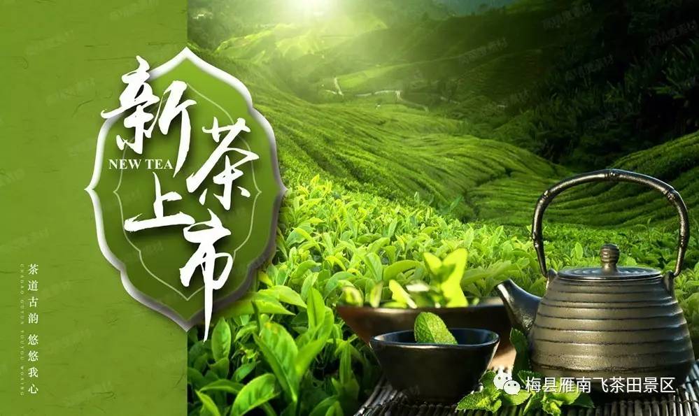 国产精品自产拍在线观看免费