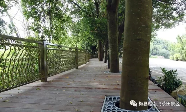 国产精品自产拍在线观看免费