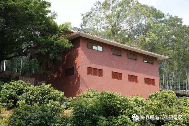 国产精品自产拍在线观看免费