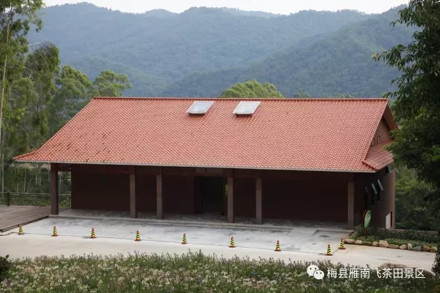 国产精品自产拍在线观看免费
