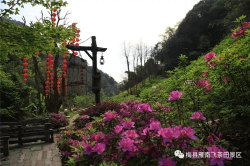 国产精品自产拍在线观看免费
