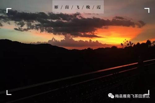 国产精品自产拍在线观看免费
