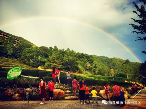 国产精品自产拍在线观看免费
