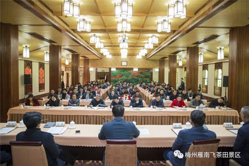 国产精品自产拍在线观看免费