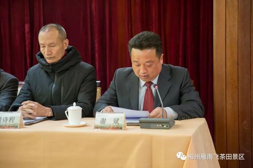 国产精品自产拍在线观看免费