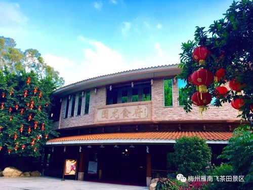 国产精品自产拍在线观看免费