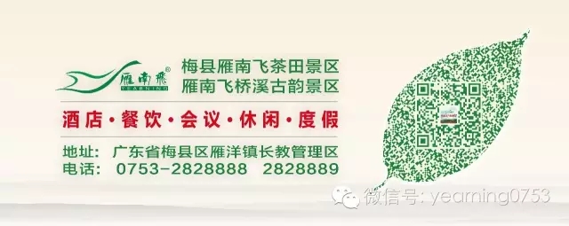 国产精品自产拍在线观看免费