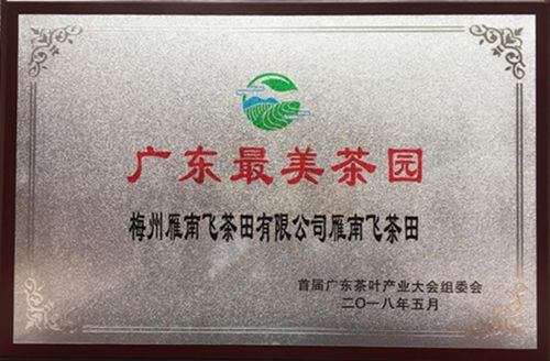 国产精品自产拍在线观看免费