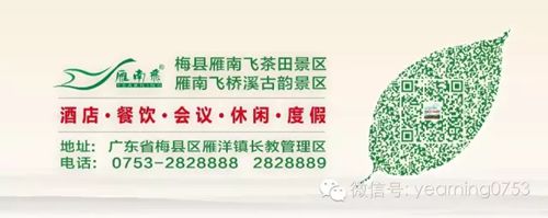 国产精品自产拍在线观看免费