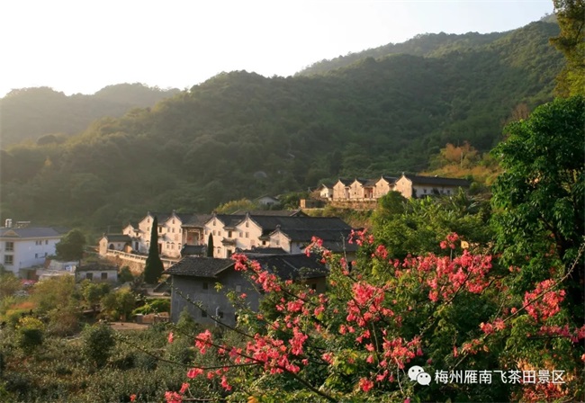 国产精品自产拍在线观看免费